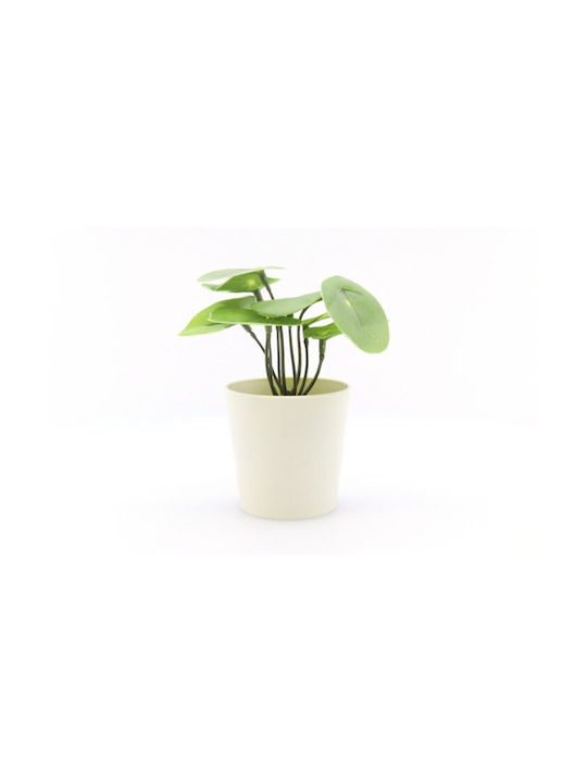 Plantă Artificială în Ghiveci Mic Green 12cm TnS