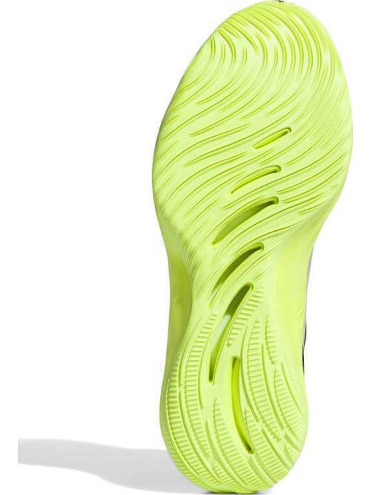 Adizero Select 2.0 Χαμηλά Μπασκετικά Παπούτσια Πολύχρωμα