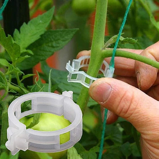 Tomato Cultivation Support Clips Black 500 Pieces