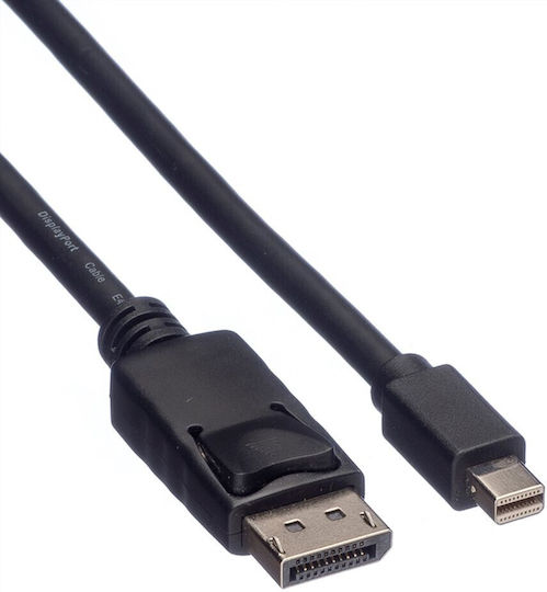 Roline Cable mini DisplayPort male - DisplayPort male 1m Black ()