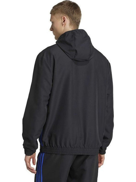 adidas adidas