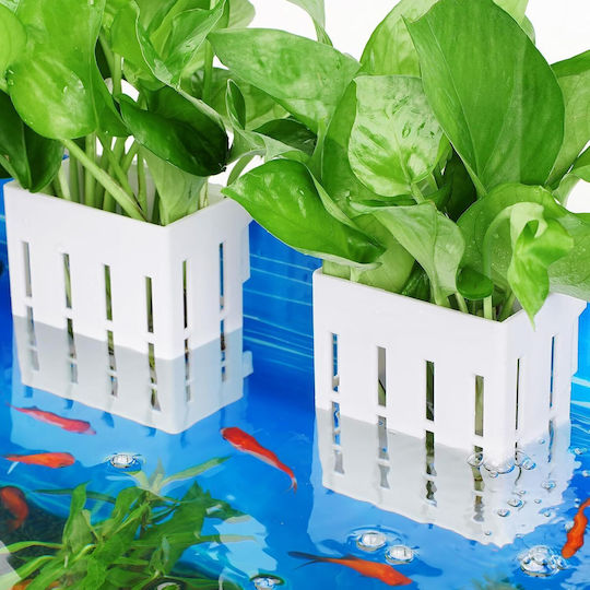 Set 2 Suporturi Albe Pentru Plante Acvariu Cu Ventuze
