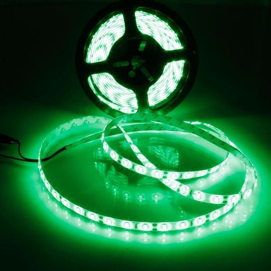 Waterproof LED Strip Ywxlight 300 12V Red Light 5m Type SMD3528