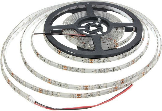 Waterproof LED Strip Ywxlight 300 12V Red Light 5m Type SMD3528