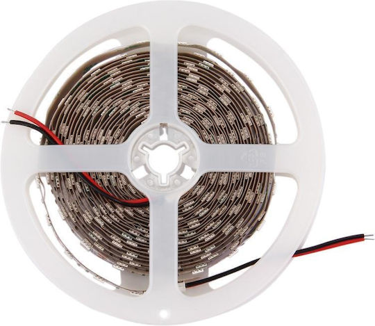LED Strip 12V Red Light 5m Type SMD5050