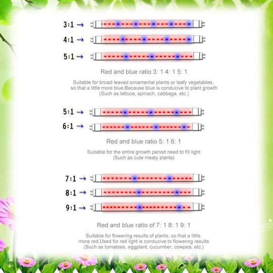 LED Strip 12V Red Light 5m Type SMD5050