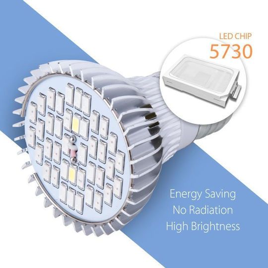 Lamp LED-Lampe 30W für Fassung E27 Rot