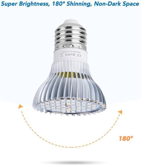 Lamp LED-Lampe 30W für Fassung E27 Rot