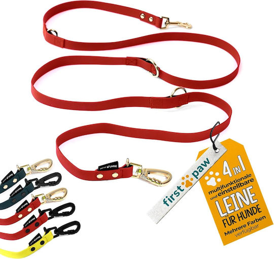 Dog Leash/Lead Training Strap in Red color 2m
