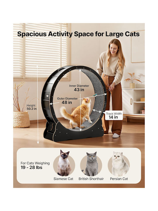 Vevor Black Cat Toy
