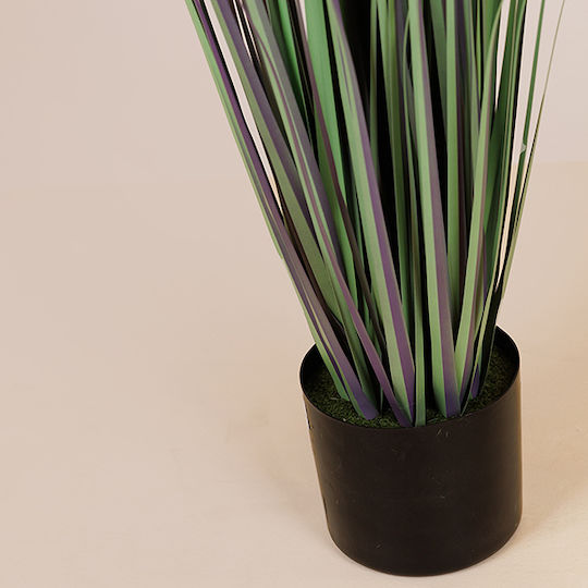 Grass Plant Allium Potted Plastic 140cm