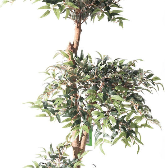 Supergreens Artificial Ruscus Tree Green 150 cm