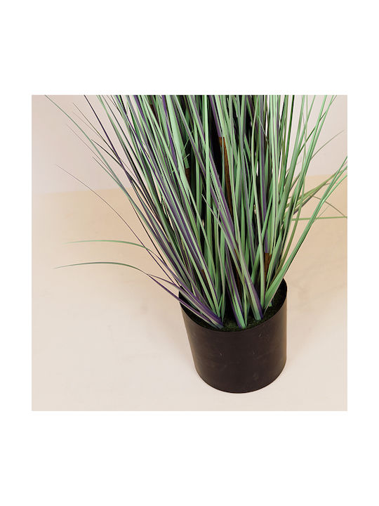 Plantă Iarbă Ghiveci Plastic 183 cm