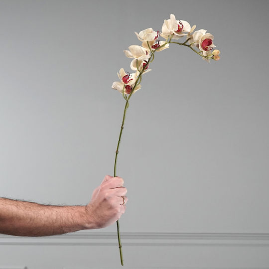 Supergreens Dekorative Künstliche Blumen & Pflanzen Orchidee Beiges Zweigstelle 75 cm 7-0839