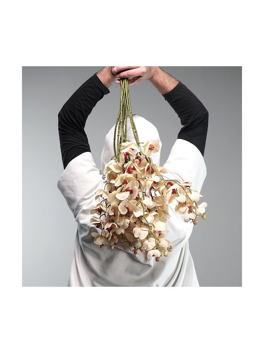 Supergreens Dekorative Künstliche Blumen & Pflanzen Orchidee Beiges Zweigstelle 75 cm 7-0839