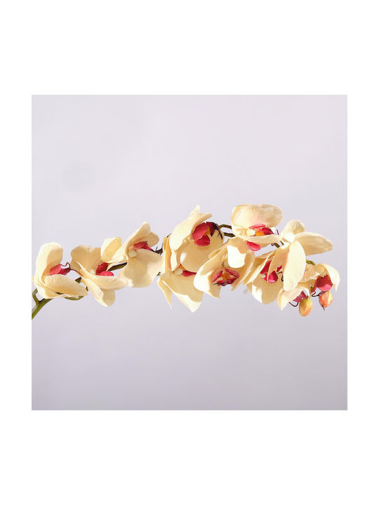 Supergreens Dekorative Künstliche Blumen & Pflanzen Orchidee Beiges Zweigstelle 75 cm 7-0839