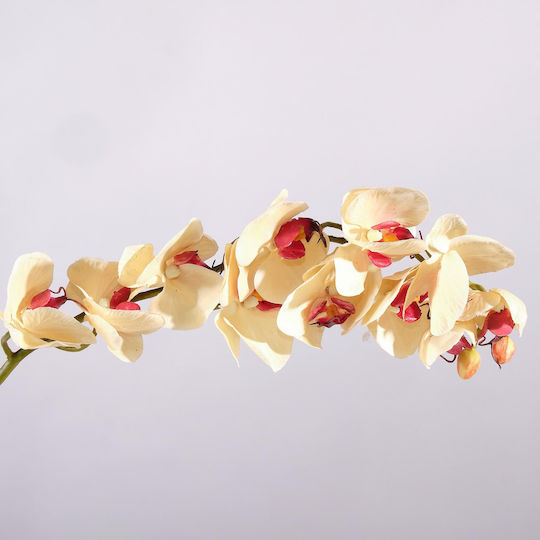 Supergreens Dekorative Künstliche Blumen & Pflanzen Orchidee Beiges Zweigstelle 75 cm 7-0839