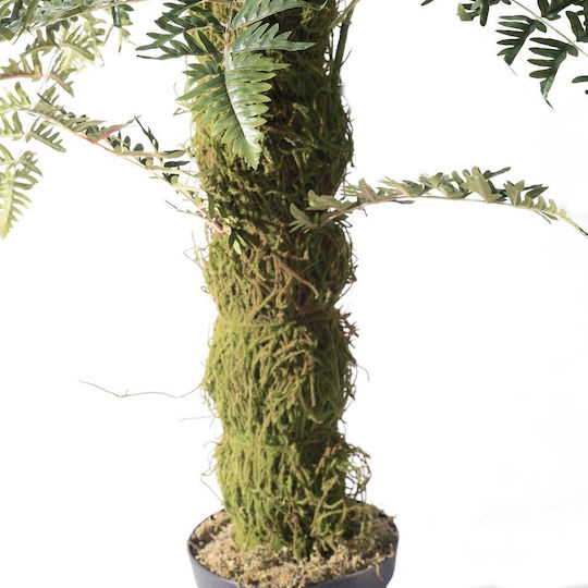 Supergreens Copac Artificial Ferigă 260 Cm 6-0828