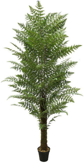 Supergreens Copac Artificial Ferigă 260 Cm 6-0828