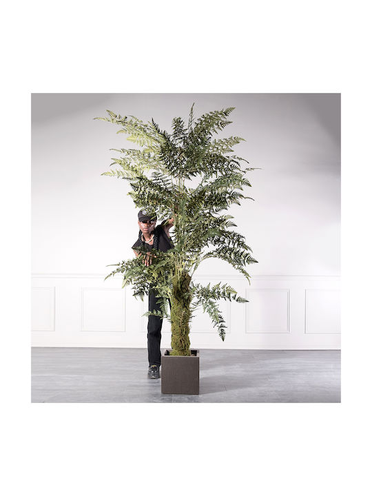 Supergreens Artificial Fern Tree 260 Cm 6-0828