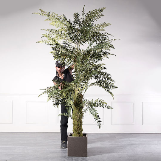 Supergreens Copac Artificial Ferigă 260 Cm 6-0828