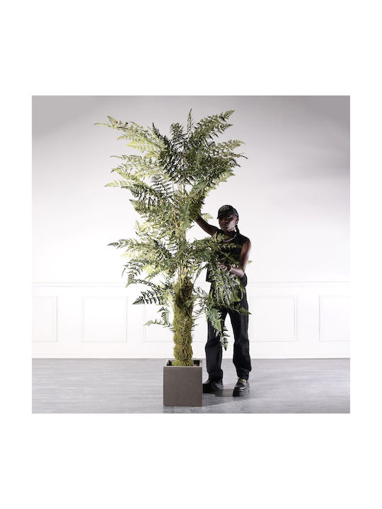 Supergreens Artificial Fern Tree 260 Cm 6-0828
