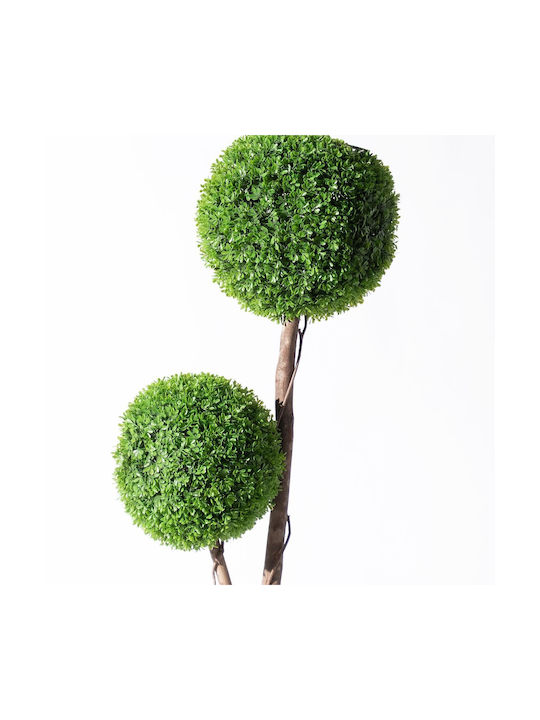 Buxus На Открито 120см Supergreens