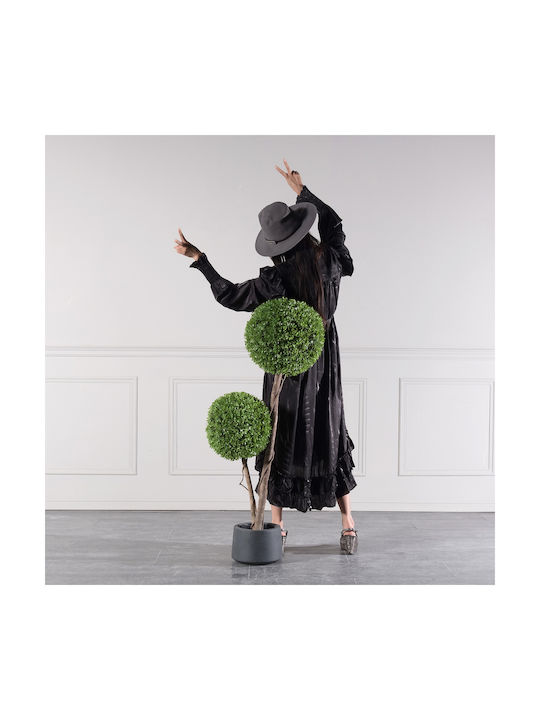 Buxus На Открито 120см Supergreens