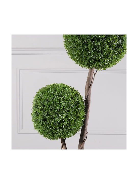 Buxus На Открито 120см Supergreens