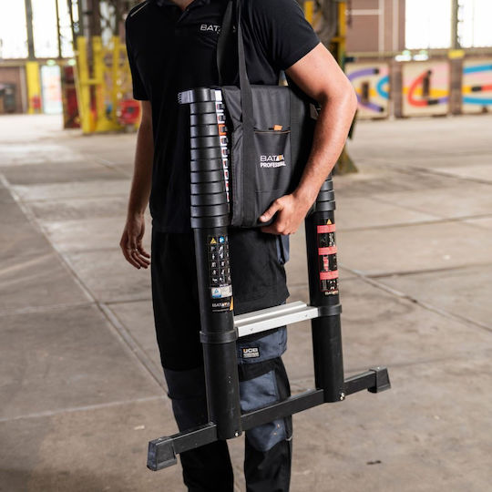 Batavia Telescopic Ladder Aluminum 14 of Steps with Maximum Height 4.17m