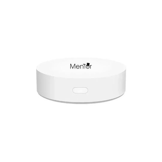 Electronică Valvă termostatică pentru radiatoare cu Wi-Fi pentru un site de comerț electronic pentru încălzirea corpului 1buc