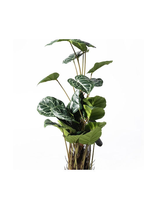 Supergreens Τεχνητό Φυτό Ανθούριο Clarinervium Πράσινο 90 Εκ 6-1279