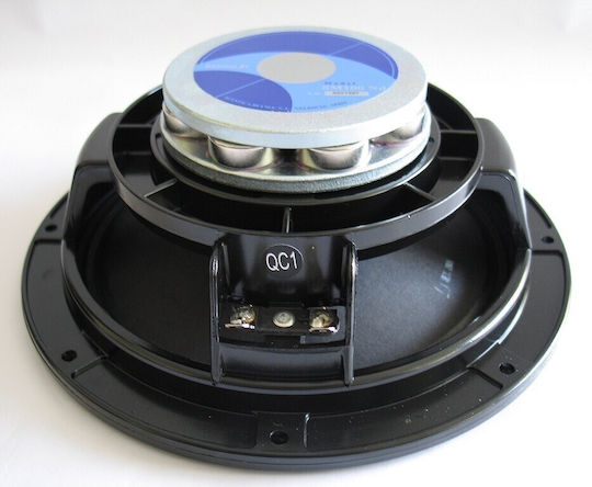 Beyma Auto-Lautsprecher 8" mit 100W RMS (Mittelklasse)