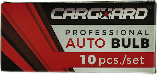 CarGuard 10 W5w T10 12v 5w Positionsleuchten Birnen