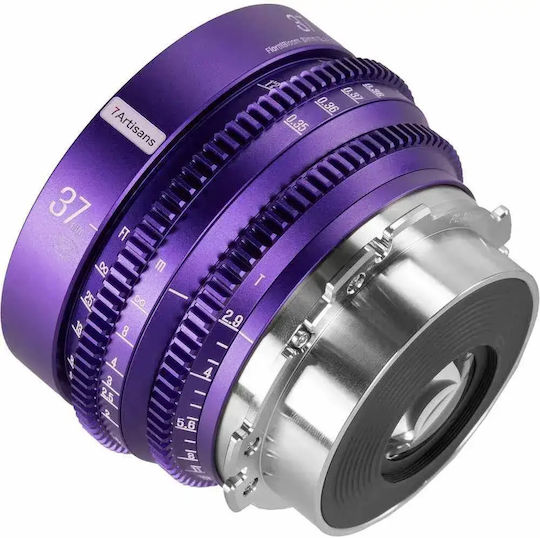 7artisans Voller Rahmen Kameraobjektiv Floral Bloom 37mm T2.9 PL Festbrennweite für Arri PL Mount Purple