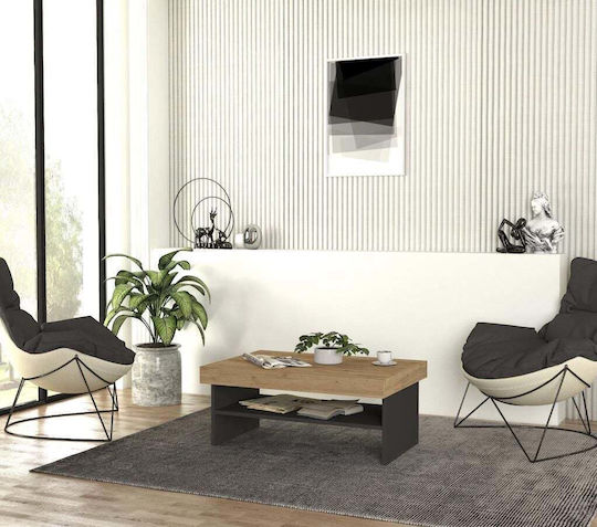 Rechteckiger Kaffeetisch im Modernen Design mit Regal-Esche/Anthrazit 93,6x63,6x40cm