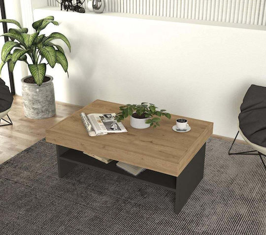 Rechteckiger Kaffeetisch im Modernen Design mit Regal-Esche/Anthrazit 93,6x63,6x40cm