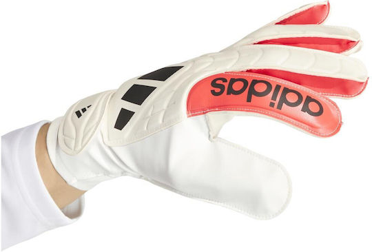 adidas Copa Γάντια Τερματοφύλακα Ενηλίκων Λευκά