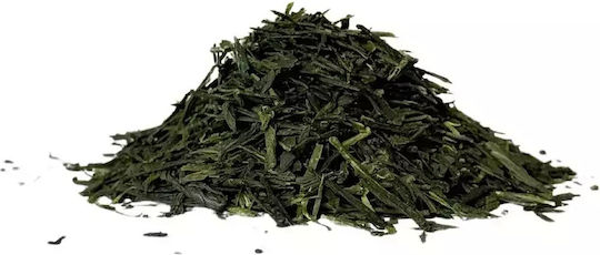 Πράσινο Τσάι Βιολογικό Προϊόν Sencha 60 Φακελάκια 60gr