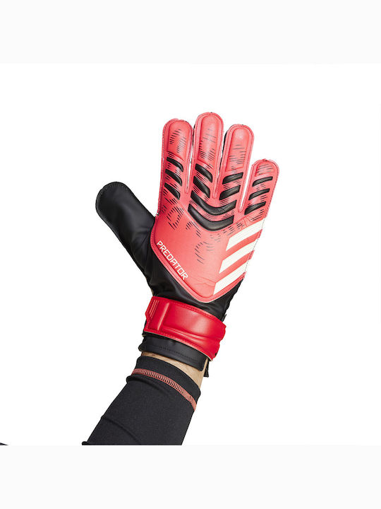 adidas Performance Pred Adults Goalkeeper Gloves Black