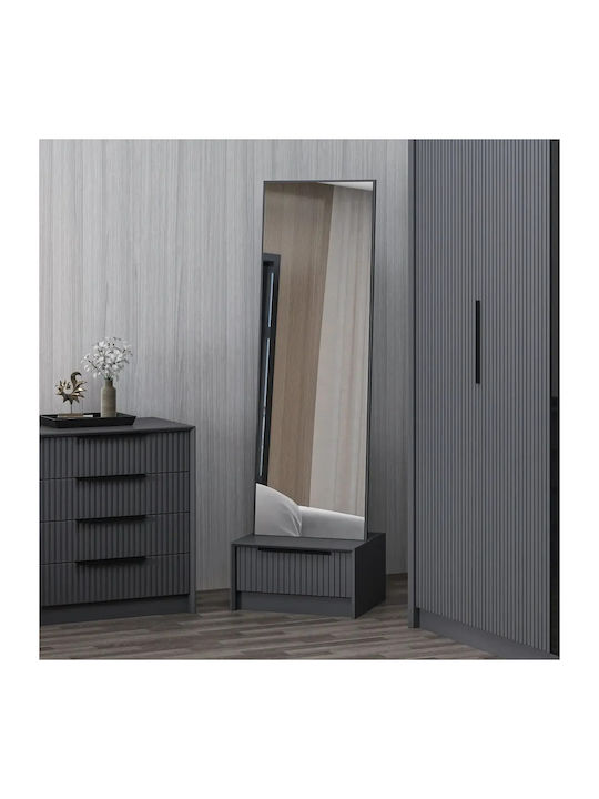 SteweHome Oglindă De Podea Cu Cadru Din Plastic Antracit 178x54cm