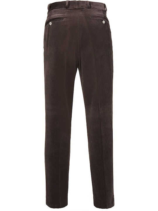Trousers in Regular Fit Brown