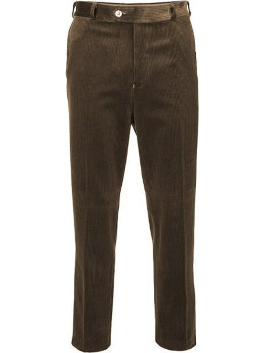 Trousers in Regular Fit Brown 220