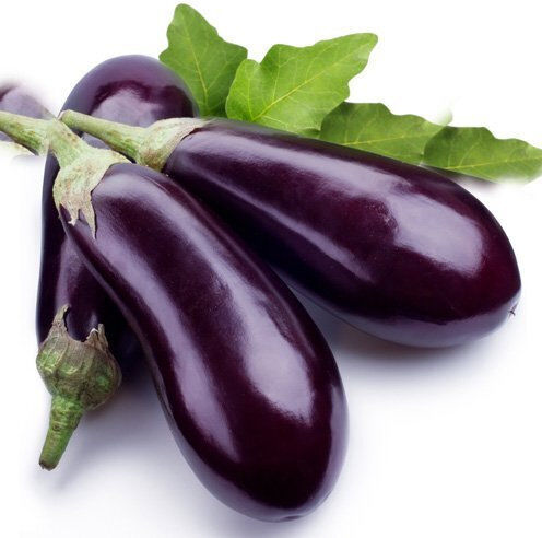 Gemma Seeds Aubergine Black 1gr