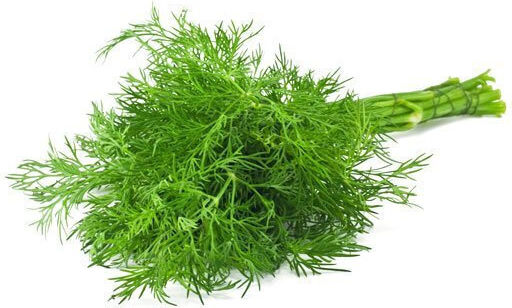 Gemma Semințe Mărar 5gr