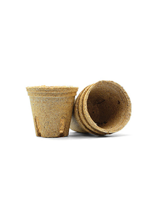 Bonsai Kit Geschenkset – Kultiviere Dein Eigenes Bonsai 4 Bäume