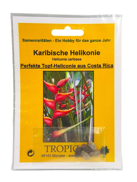 Heliconia Caribaea – 5 Samen für Pflanze