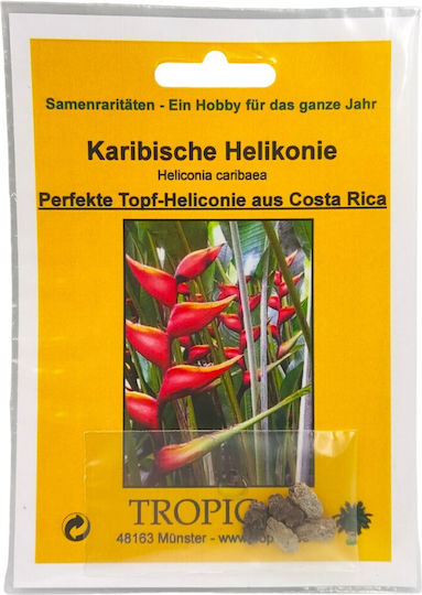 Heliconia Caribaea – 5 Samen für Pflanze