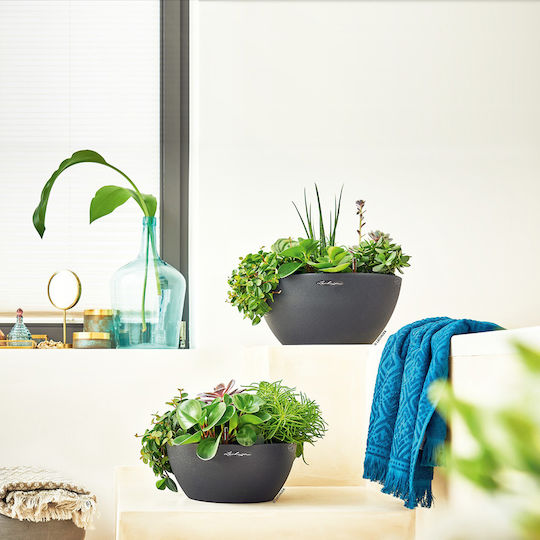 Cubeto Selfwatering System Pot Plastic Black 30x30cm.