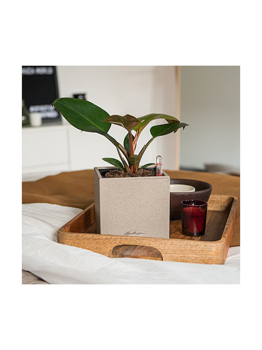 Canto with selfwatering system Pot Plastic Beige 14x14x13.5cm.